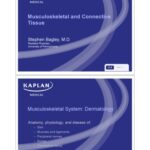 خرید و دانلود نسخه کامل کتاب Kaplan High-Yield Muskuloskeletal and Connective Tissue
