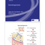خرید و دانلود نسخه کامل کتاب Kaplan High-Yield Reproductive