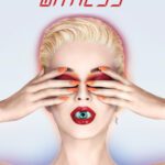 خرید و دانلود نسخه کامل کتاب Katy Perry – Witness
