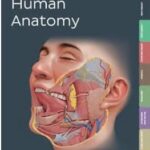 خرید و دانلود نسخه کامل کتاب Kenhub Atlas of Human Anatomy – Orginal Pdf