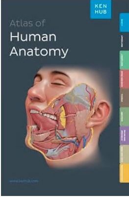 خرید و دانلود نسخه کامل کتاب Kenhub Atlas of Human Anatomy – Orginal Pdf