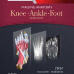 خرید و دانلود نسخه کامل کتاب Knee, ankle, foot.