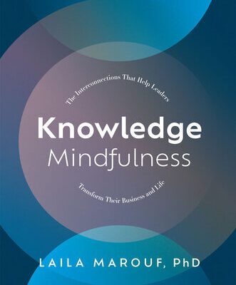خرید و دانلود نسخه کامل کتاب Knowledge Mindfulness : The Interconnections That Help Leaders Transform Their Business and Life