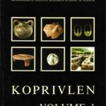 خرید و دانلود نسخه کامل کتاب Koprivlen : rescue archaeological investigations along the Gotse Delchev-Drama Road : 1998-1999