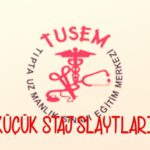 خرید و دانلود نسخه کامل کتاب Küçük Staj Slaytları