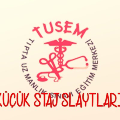 خرید و دانلود نسخه کامل کتاب Küçük Staj Slaytları