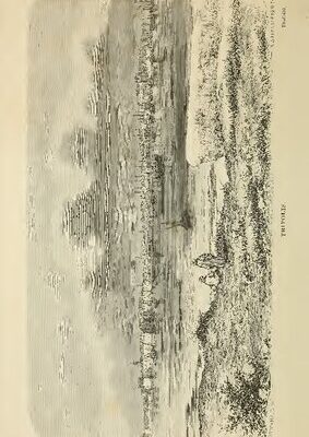 خرید و دانلود نسخه کامل کتاب Kufra. Reise von Tripolis nach der Oase Kufra, ausgeführt im Auftrage der Afrikanischen Gesellschaft in Deutschland