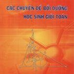 خرید و دانلود نسخه کامل کتاب Kỷ yếu gặp gỡ toán học năm 2011