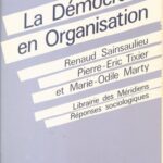 خرید و دانلود نسخه کامل کتاب La démocratie en organisation : vers des fonctionnements collectifs de travail