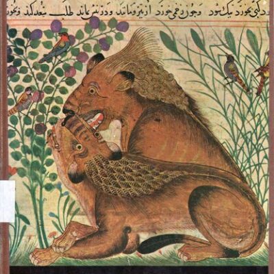 خرید و دانلود نسخه کامل کتاب La Peinture Persane