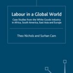 خرید و دانلود نسخه کامل کتاب Labour in a Global World: Case Studies from the White Goods Industry in Africa, South America, East Asia and Europe (The Future of Work)