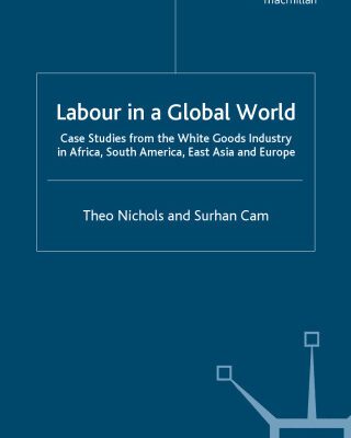 خرید و دانلود نسخه کامل کتاب Labour in a Global World: Case Studies from the White Goods Industry in Africa, South America, East Asia and Europe (The Future of Work)
