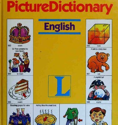 خرید و دانلود نسخه کامل کتاب Langenscheidt Picture Dictionary: English