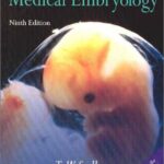 خرید و دانلود نسخه کامل کتاب Langman’s Medical Embryology