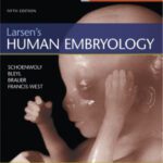 خرید و دانلود نسخه کامل کتاب Larsen’s Human Embryology