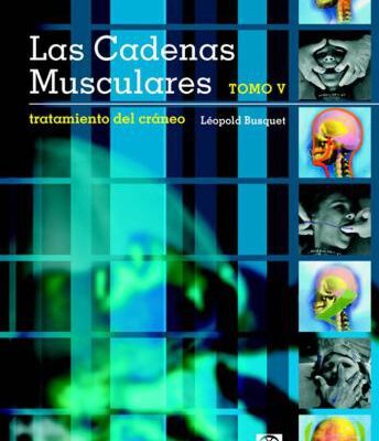 خرید و دانلود نسخه کامل کتاب Las cadenas musculares.Tratamiento del craneo. Tomo V