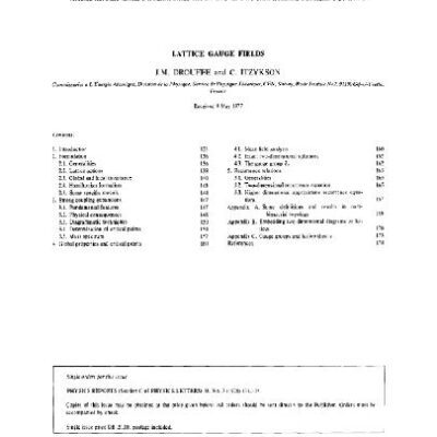 خرید و دانلود نسخه کامل کتاب Lattice gauge fields