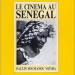 خرید و دانلود نسخه کامل کتاب Le cinéma au Sénégal