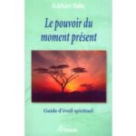 خرید و دانلود نسخه کامل کتاب Le pouvoir du moment présent – Guide d’éveil spirituel