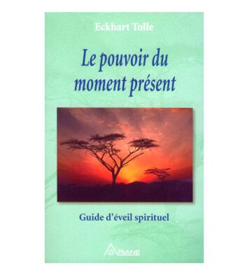 خرید و دانلود نسخه کامل کتاب Le pouvoir du moment présent – Guide d’éveil spirituel