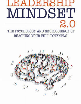 خرید و دانلود نسخه کامل کتاب leadership mindset 2.0