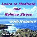 خرید و دانلود نسخه کامل کتاب LEARN TO MEDITATE AND RELIEVE STRESS – In only 20 minutes!!