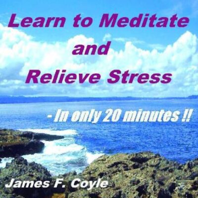 خرید و دانلود نسخه کامل کتاب LEARN TO MEDITATE AND RELIEVE STRESS – In only 20 minutes!!