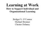 خرید و دانلود نسخه کامل کتاب Learning At Work: How to Support Individual and Organizational Learning