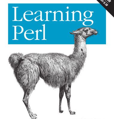 خرید و دانلود نسخه کامل کتاب Learning Perl