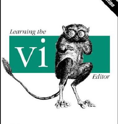خرید و دانلود نسخه کامل کتاب Learning The vi Editor