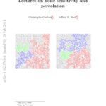 خرید و دانلود نسخه کامل کتاب Lectures on Noise Sensitivity and Percolation