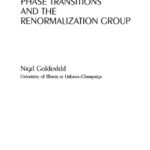 خرید و دانلود نسخه کامل کتاب Lectures on phase transitions and critical phenomena