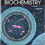 خرید و دانلود نسخه کامل کتاب Lehninger Principles of Biochemistry (8th Edition) – Pdf