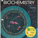 خرید و دانلود نسخه کامل کتاب Lehninger Principles of Biochemistry