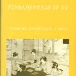 خرید و دانلود نسخه کامل کتاب Lessons in the Fundamentals of Go