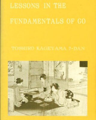 خرید و دانلود نسخه کامل کتاب Lessons in the Fundamentals of Go