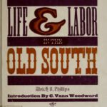 خرید و دانلود نسخه کامل کتاب Life and labor in the Old South