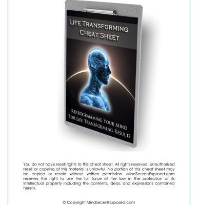 خرید و دانلود نسخه کامل کتاب Life Transforming Cheat Sheet