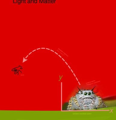 خرید و دانلود نسخه کامل کتاب Light and Matter