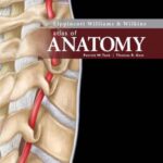 خرید و دانلود نسخه کامل کتاب Lippincott Williams & Wilkins Atlas of Anatomy