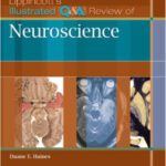 خرید و دانلود نسخه کامل کتاب Lippincott’s Illustrated Q&A Review of Neuroscience