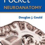 خرید و دانلود نسخه کامل کتاب Lippincott’s Pocket Neuroanatomy