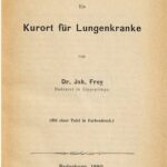 خرید و دانلود نسخه کامل کتاب Lippspringe. Ein Kurort für Lungenkranke