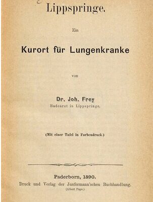 خرید و دانلود نسخه کامل کتاب Lippspringe. Ein Kurort für Lungenkranke