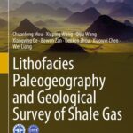 خرید و دانلود نسخه کامل کتاب Lithofacies Paleogeography and Geological Survey of Shale Gas