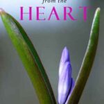 خرید و دانلود نسخه کامل کتاب Living from the Heart