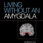 خرید و دانلود نسخه کامل کتاب Living Without an Amygdala