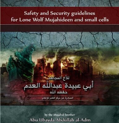 خرید و دانلود نسخه کامل کتاب Lone Wolf Small Cell