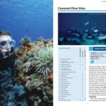 خرید و دانلود نسخه کامل کتاب Lonely Planet Diving & Snorkeling Cozumel