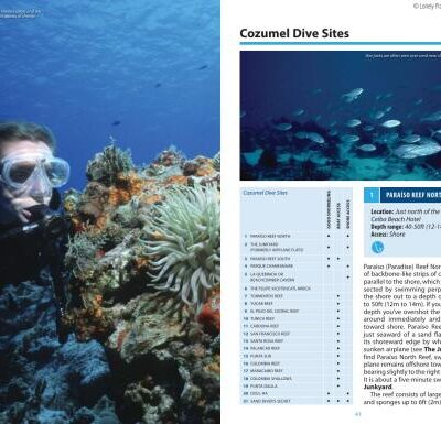 خرید و دانلود نسخه کامل کتاب Lonely Planet Diving & Snorkeling Cozumel